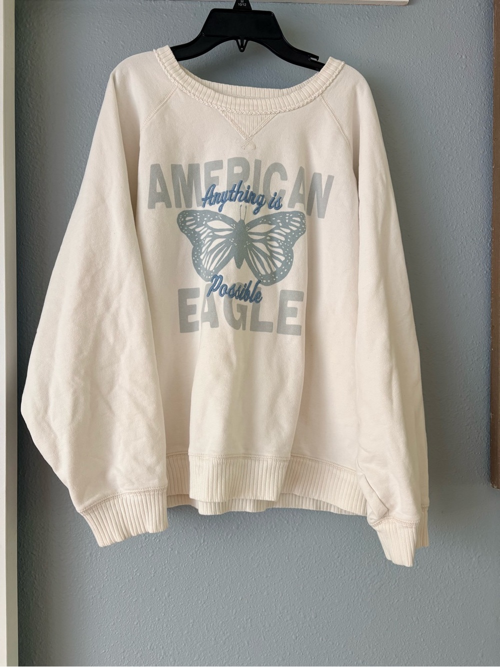 American Eagle Outfitters Cream Sweatshirt with Blue Graphic Butterfly